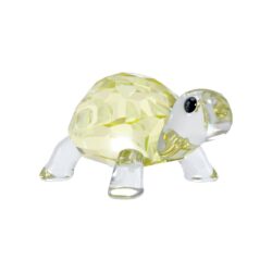 Swarovski - Idyllia Baby Tortoise - Bilde 3